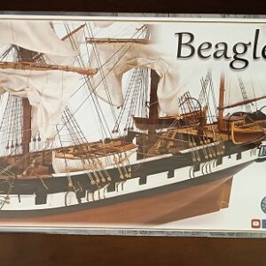 Beagle