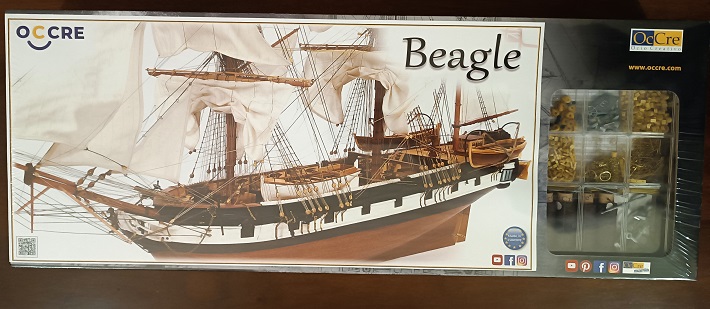 Beagle