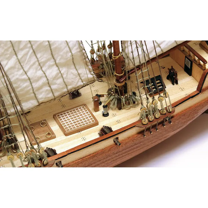 Albatros - Image 4
