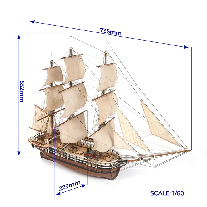 Essex (Whaling Ship) - Image 2